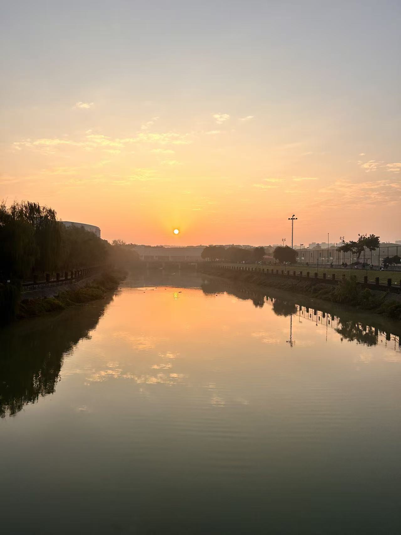 Cycling and Dynamic Motion