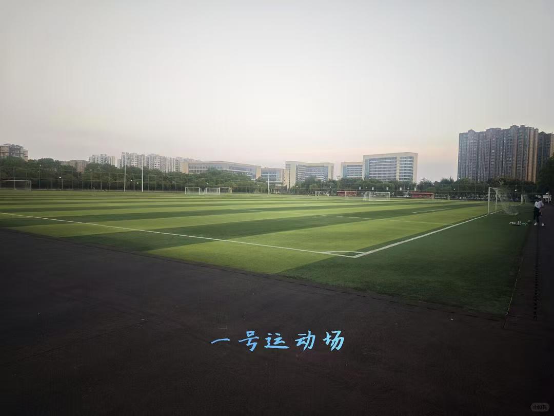 No 1 Sports Field